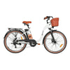 DYU C6 Pro (UK) Electric Bike