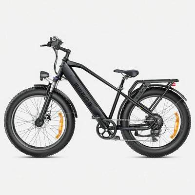 ENGWE E26 (EU) Electric Bike