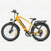 ENGWE E26 (EU) Electric Bike