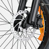 ENGWE L20 3.0 BOOST (EU) Electric Bike