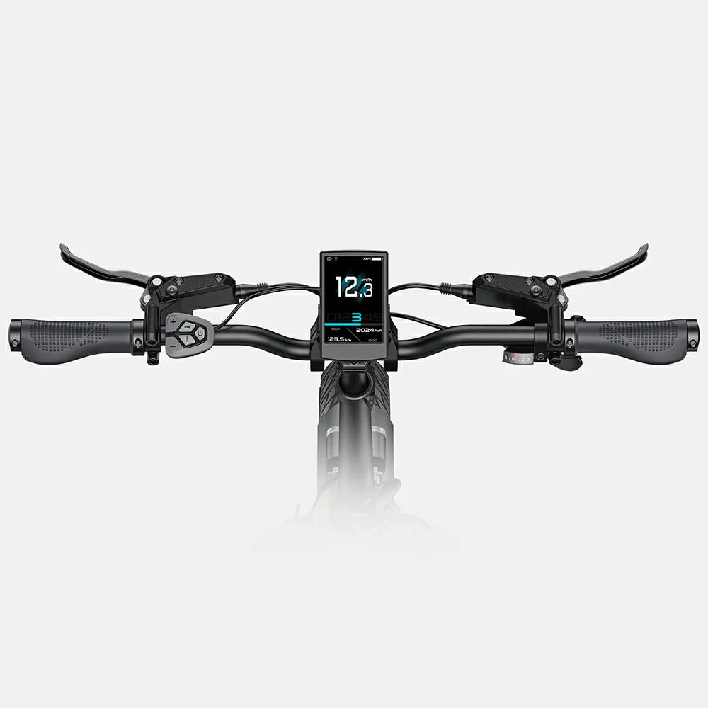 ENGWE L20 3.0 Pro (EU) Electric Bike