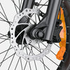 ENGWE L20 3.0 Pro (EU) Electric Bike