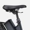 ENGWE P275 ST (EU) Electric Bike