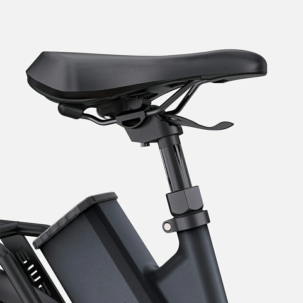 ENGWE P275 ST (EU) Electric Bike