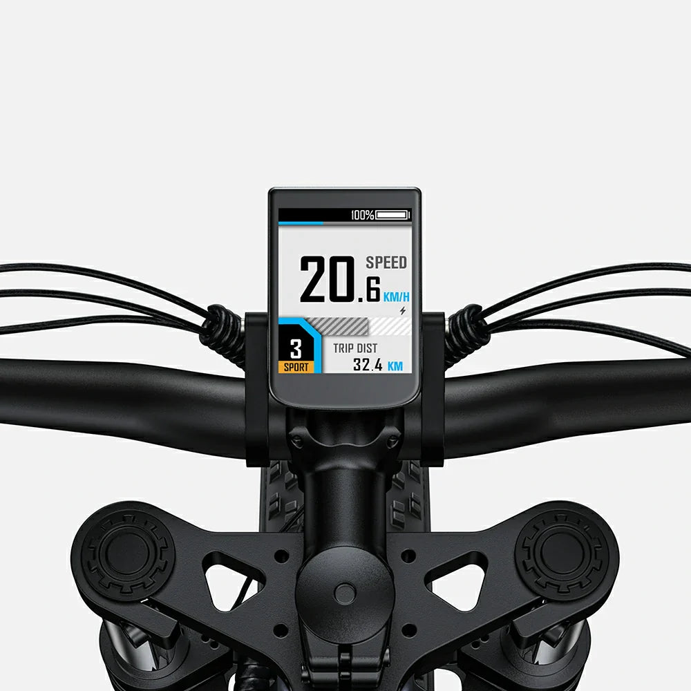 ENGWE X26 (EU) Electric Bike