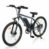 iSinwheel M10 (UK) Electric Bike