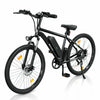 iSinwheel M10 (UK) Electric Bike