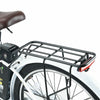iSinwheel U2 (EU) Electric Bike